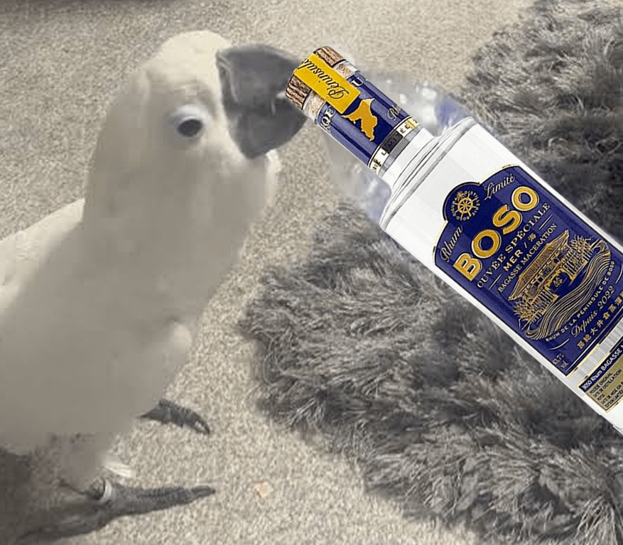 Boso Cuvée Spéciale Mer / 海