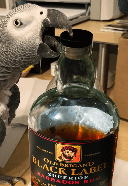 Old Brigand Black Label